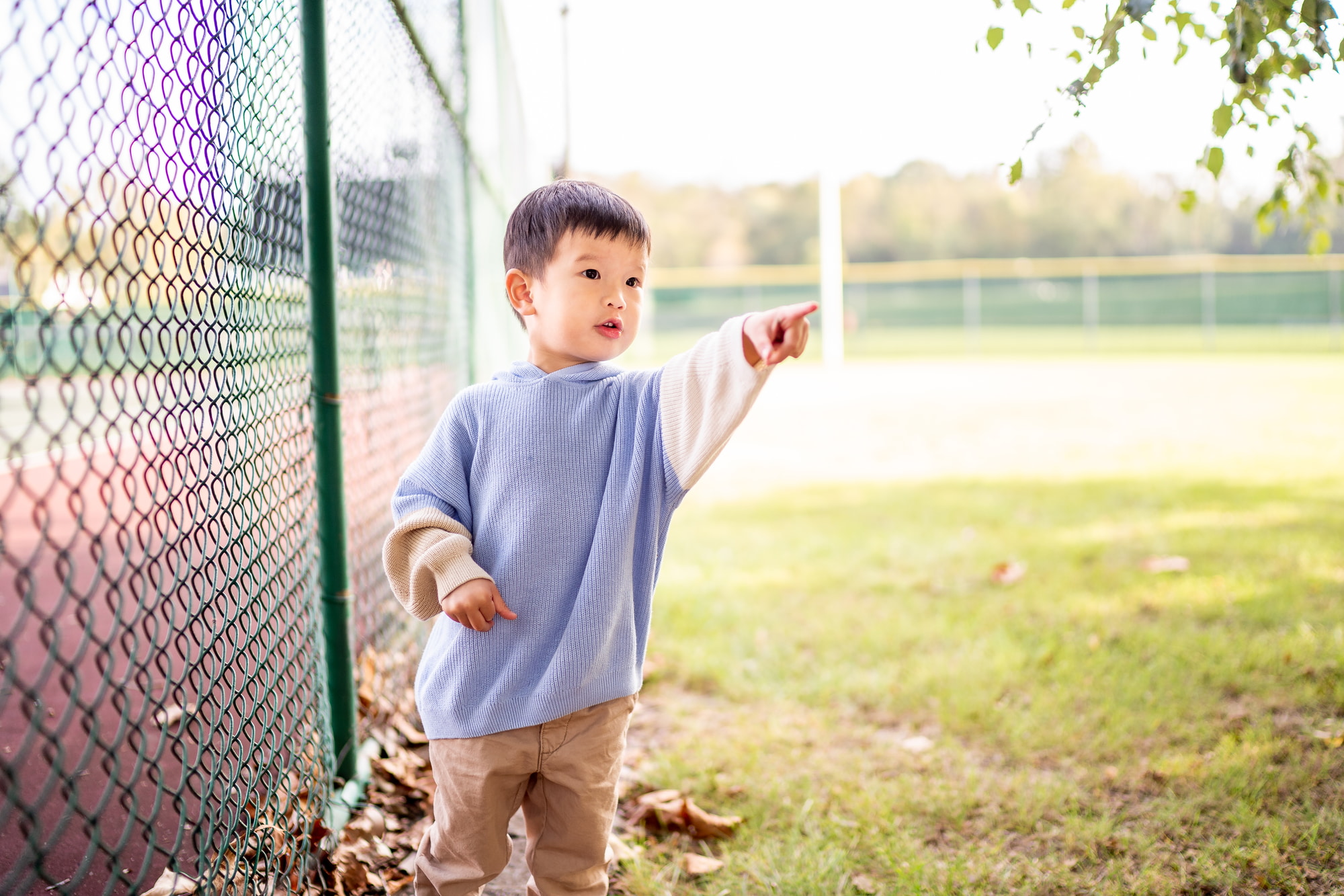 Detailed shot of autumn leaves